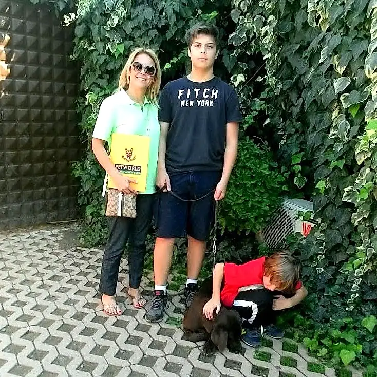 Labrador cinsi Coffee'nin ailesi eğitimlerden çok memnun