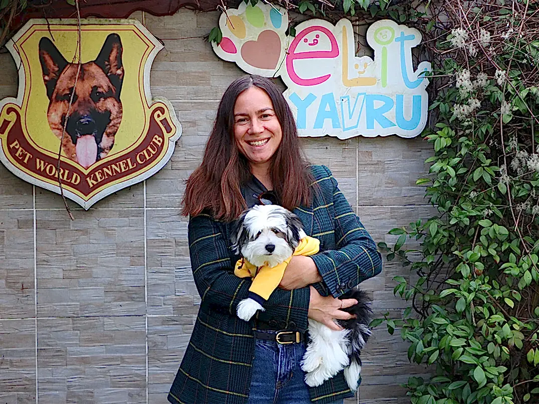 Sevgili Liliena Hanım Morkie yavrularını ailelerine dahil etti