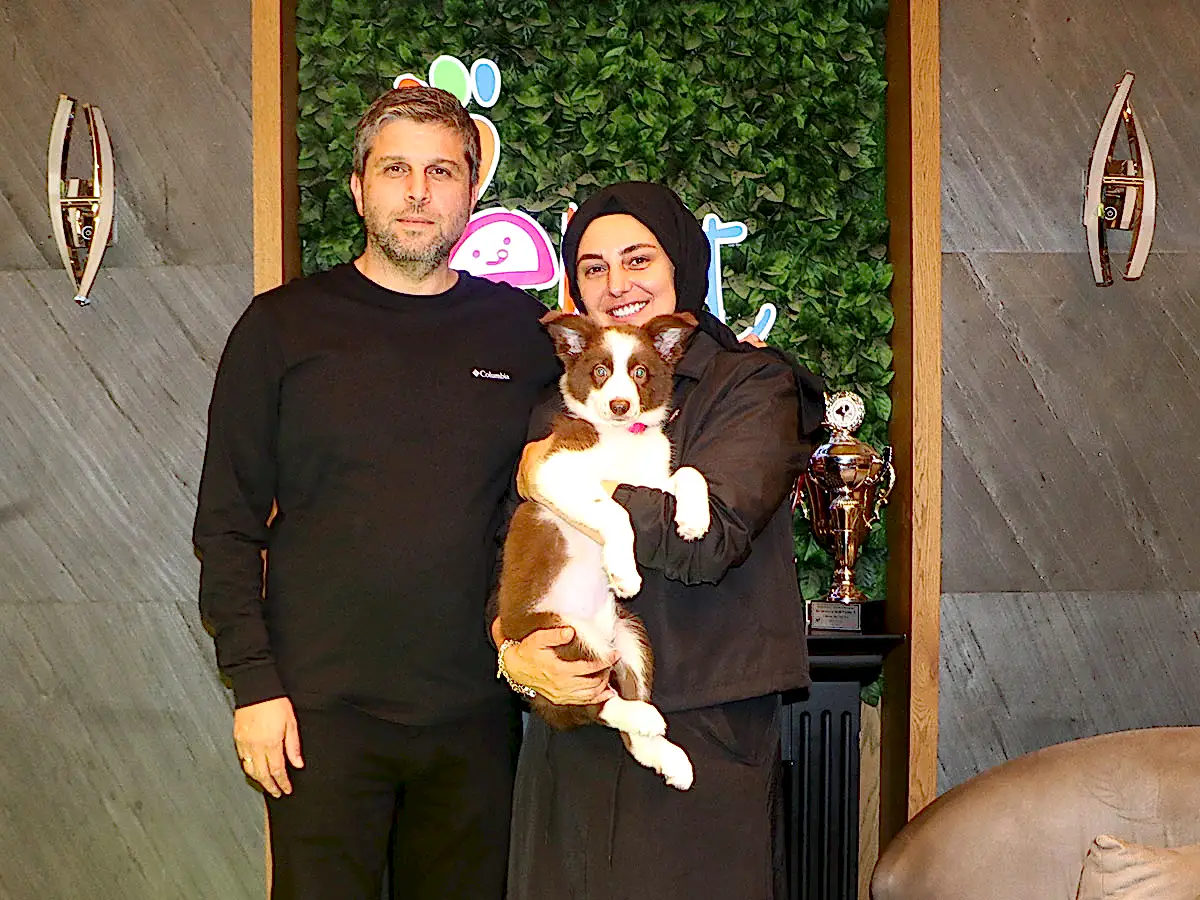 Mahmut Nazırlı Ailesine Border Collie Yavrusu Dahil Etti