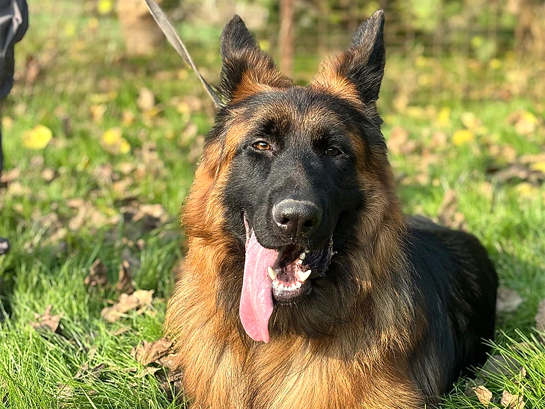 Leo Yeniden Otelimizde Konaklıyor