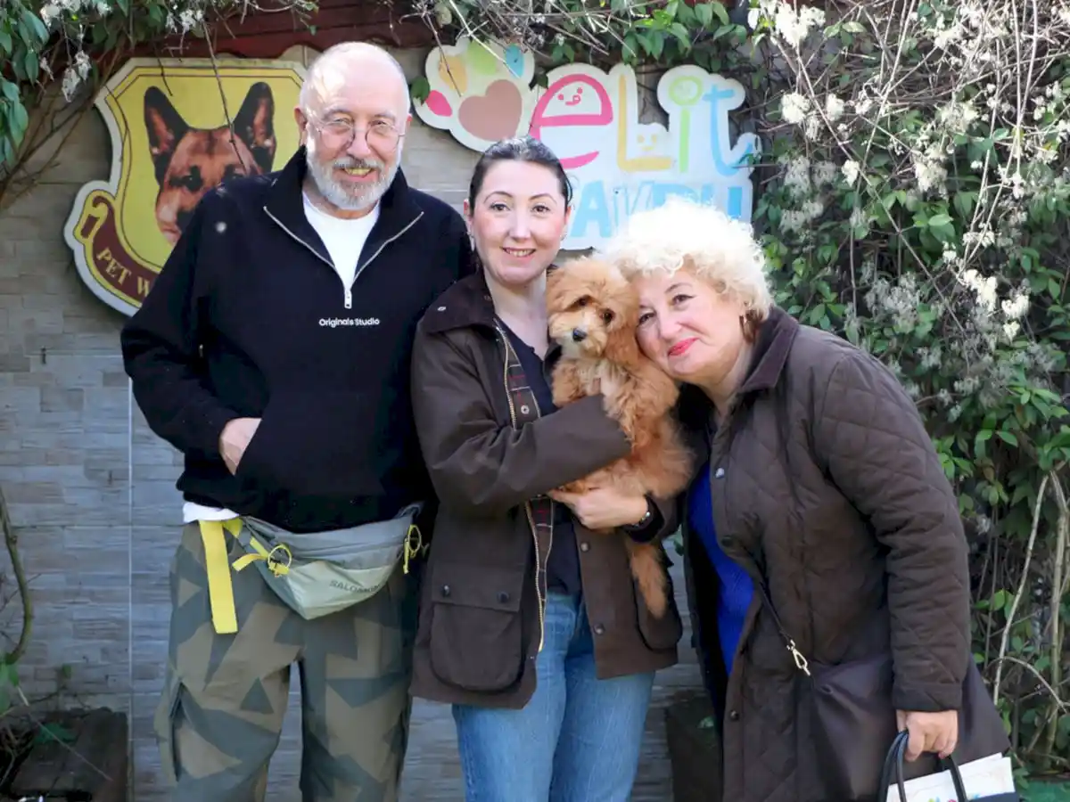 Miray Hanım ve ailesi Maltipoo yavrularına kavuştular