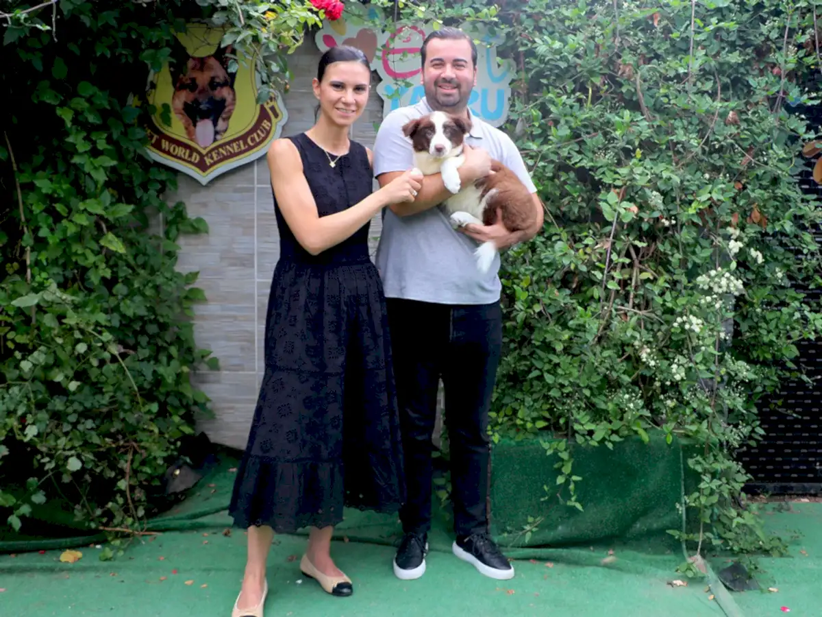 Murat Bey ve ailesi Border Collie yavrularına kavuştular