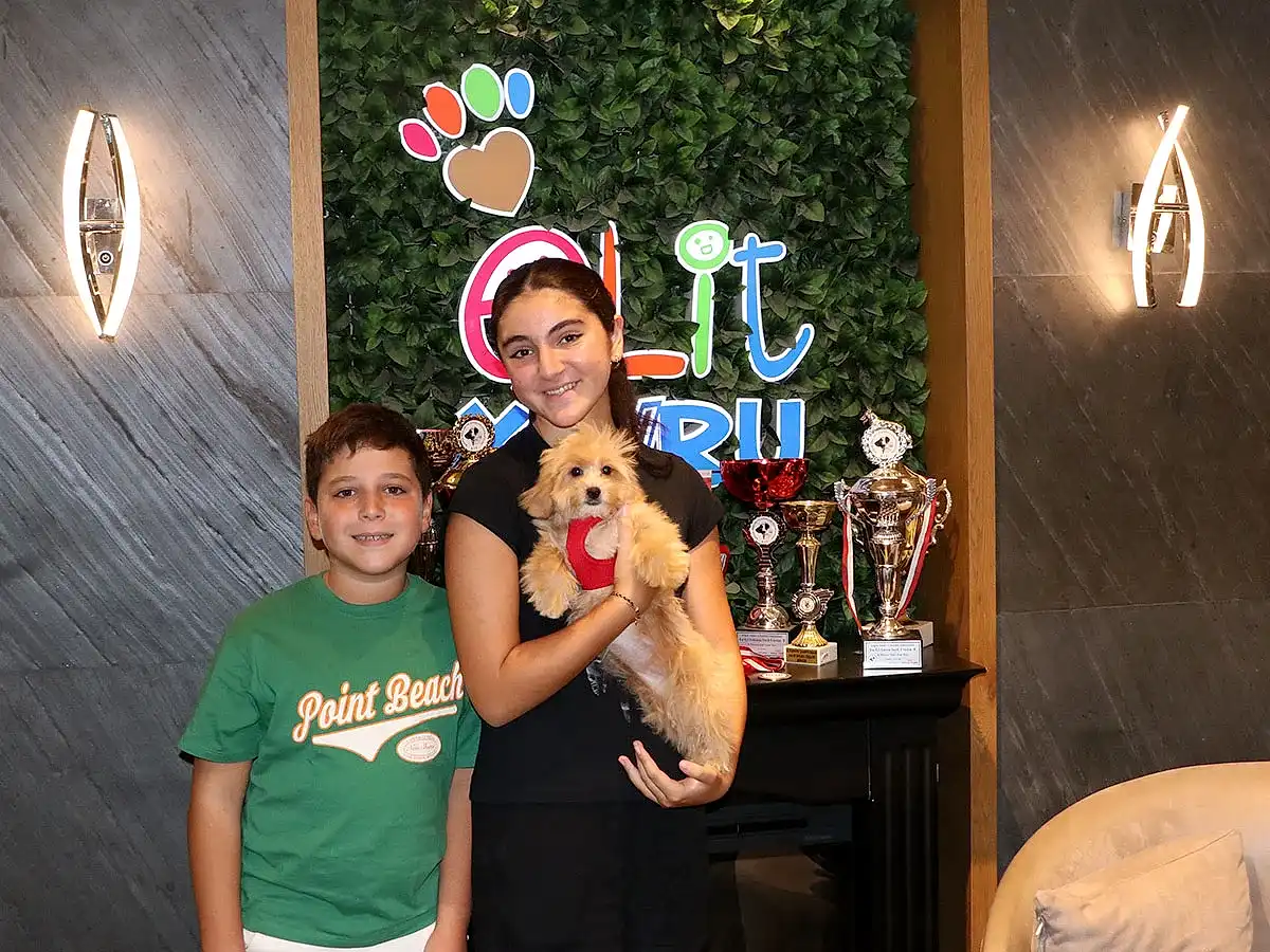 Mutlu Hanım ve ailesi Maltipoo yavrularına kavuştular