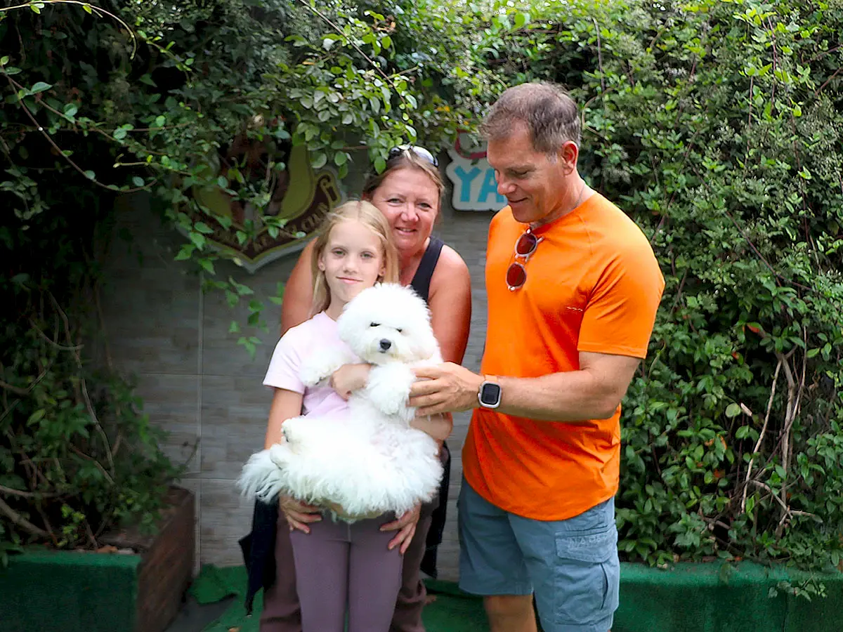 Sürer ailesi Bichon yavrularına kavuştular