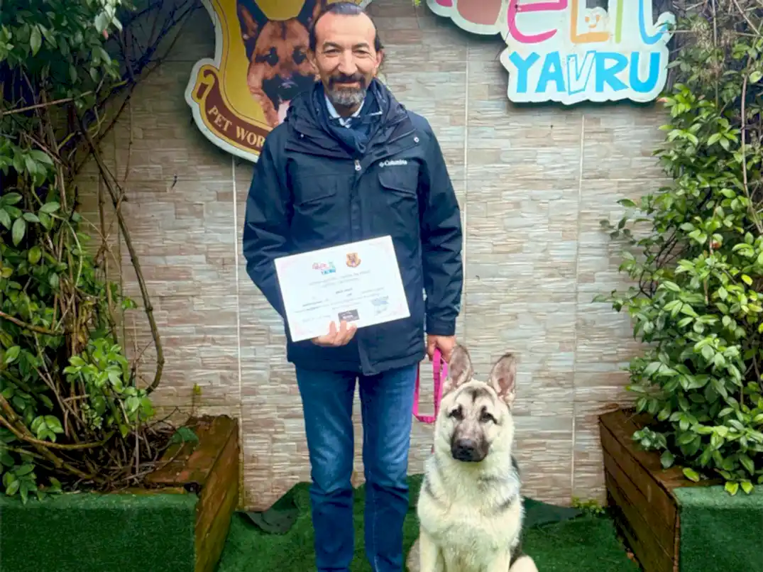 Jack Tuvalet ve Temel itaat eğitimini başarılı bir şekilde tamamladı