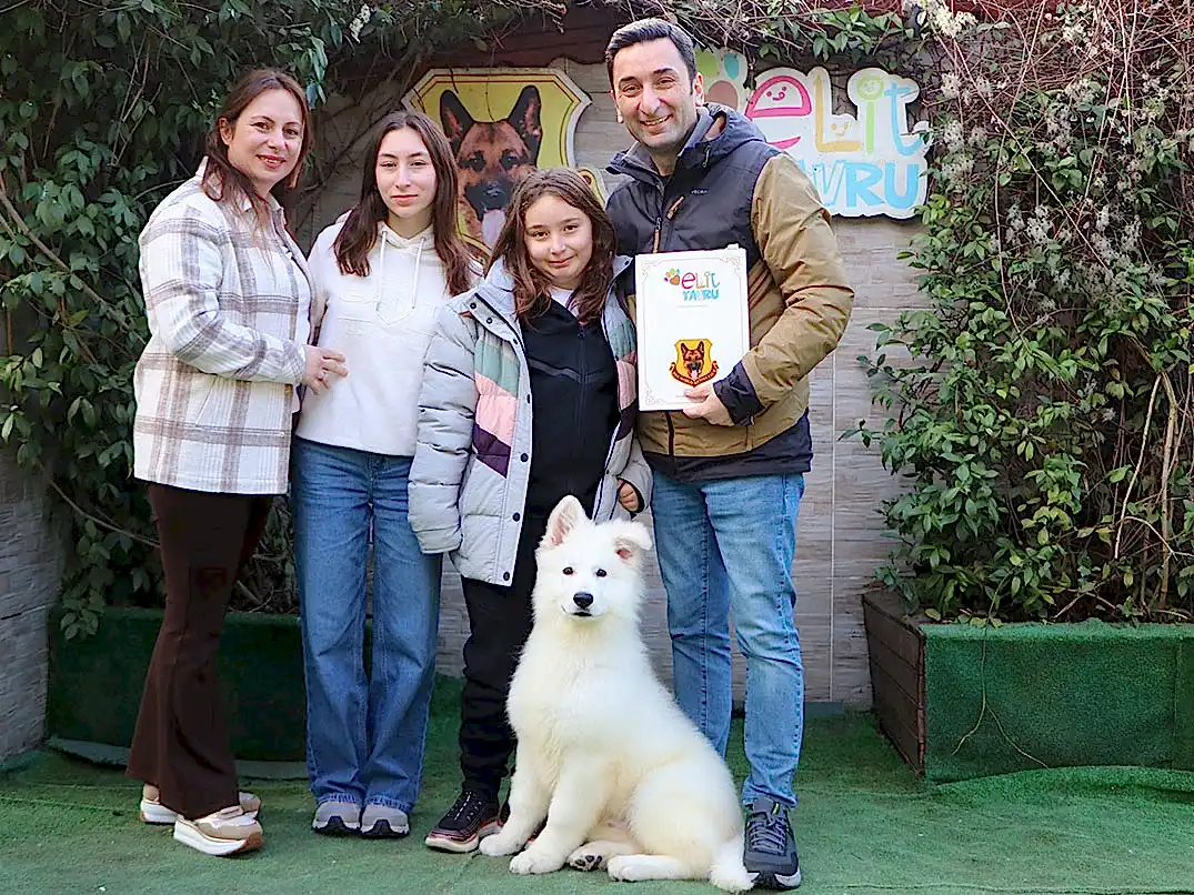 Ayaz Puppy eğitimini başarılı bir şekilde tamamladı