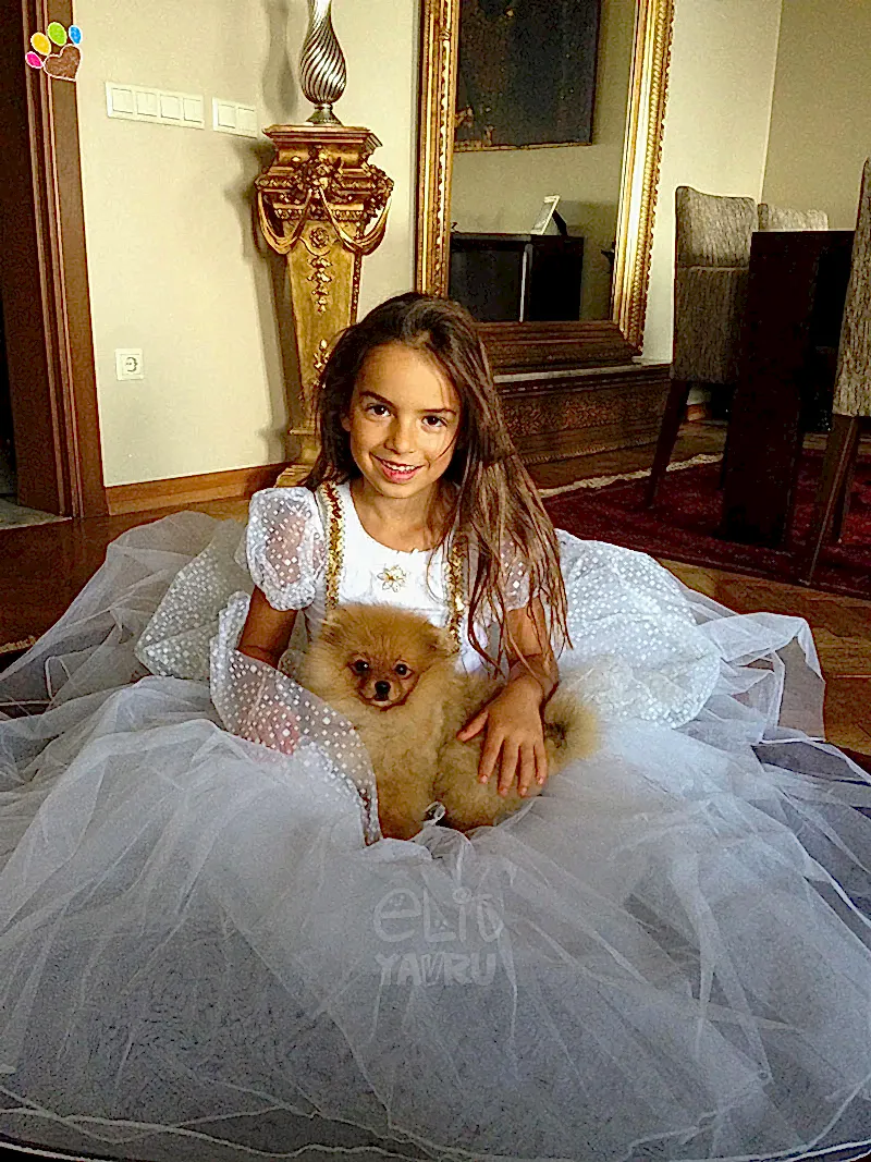 Okten ailesinin Pomeranian Boo deneyimleri