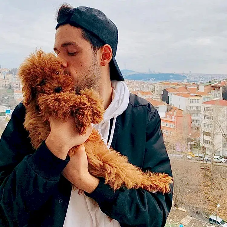 Orkun Işıtmak, Toy Poodle elit yavrusuna kavuştu