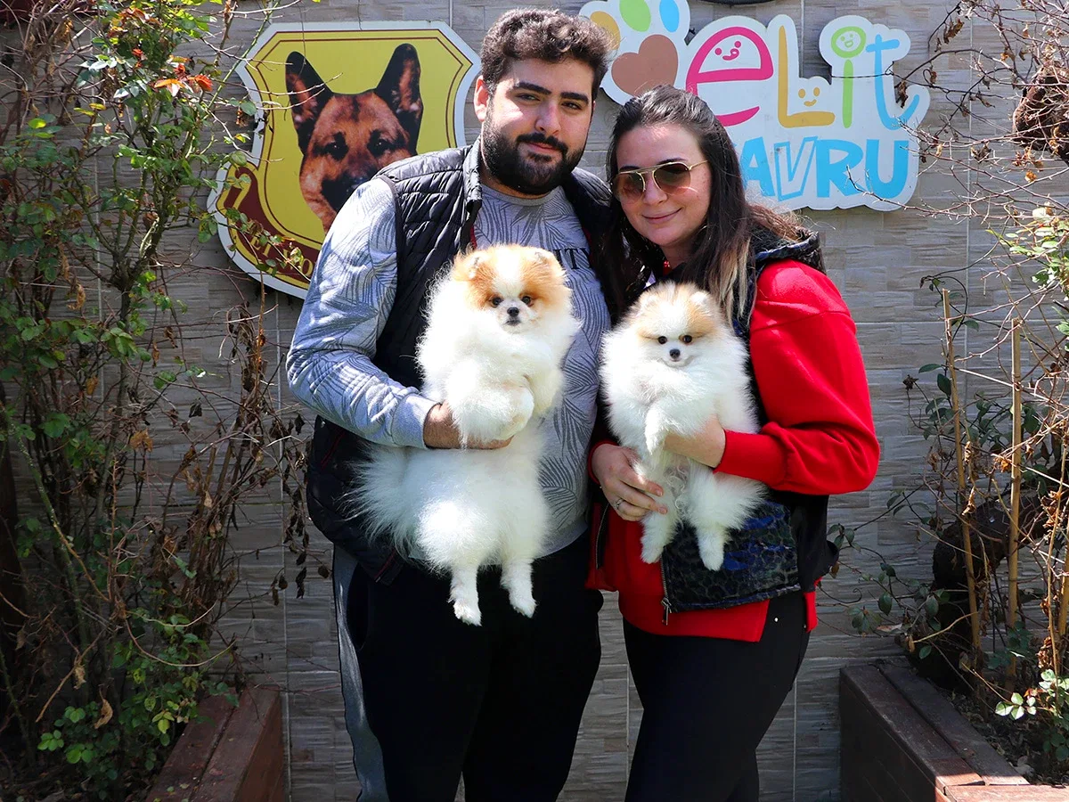 Özdemir ailesi bir pomeranian yavrumuzu daha ailelerine dahil ettiler