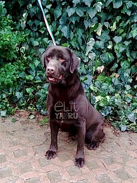 Pansiyonerimiz Şans çiftliğimizde çok eğleniyor