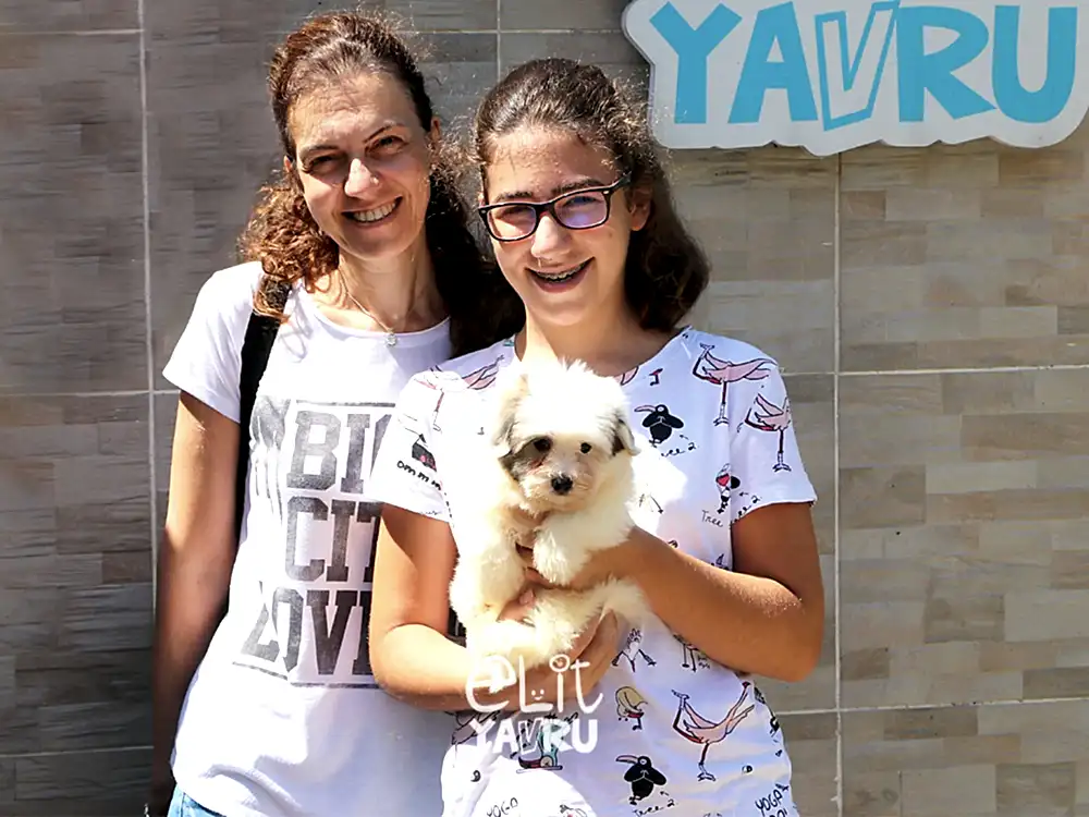 Şale Hanım, kızları için Coton de Tulear sahibi oldu