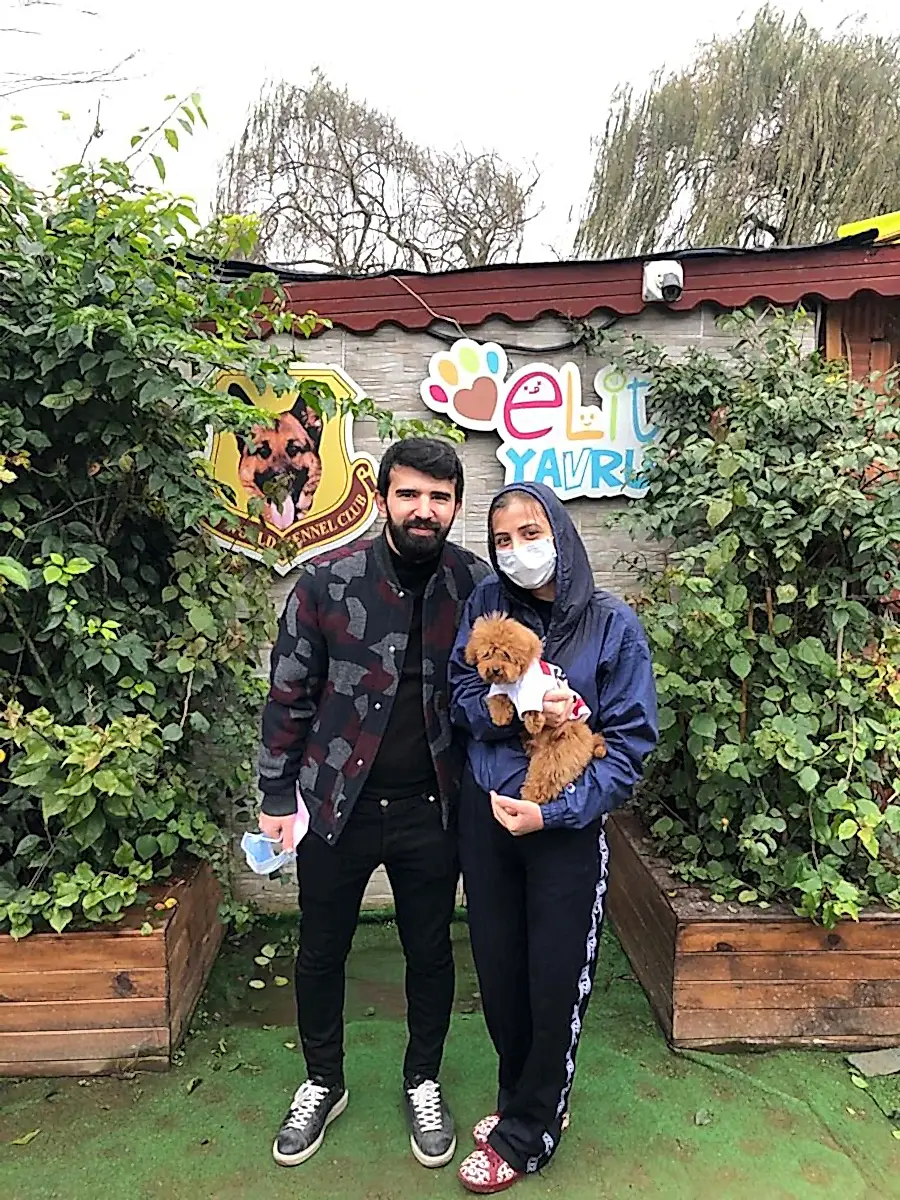 Samsun'dan Esat Bey ve ailesi Teacup Redbrown Poodle yavrularına kavuştular.