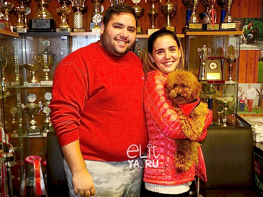 Sercan&Duygu çifti, Toy Poodle elit yavru sahibi oldu
