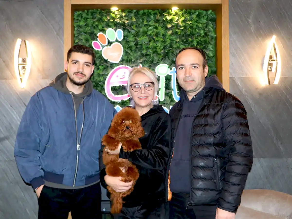 Bilecik'ten Aslan ailesi Poodle yavrularına kavuştular