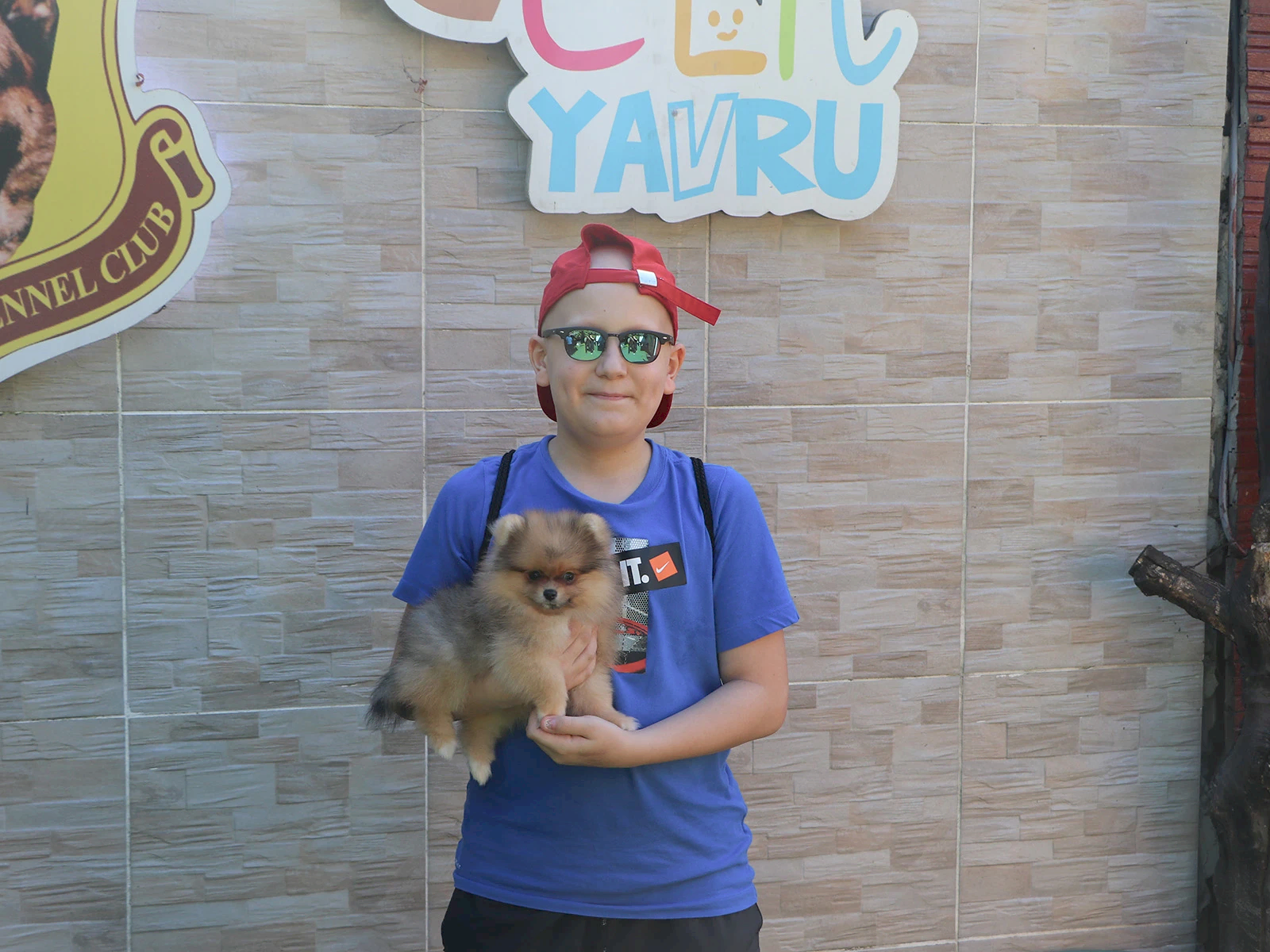 Sevgili Murat minik Pomeranian dostu Whiskey'e kavuştu