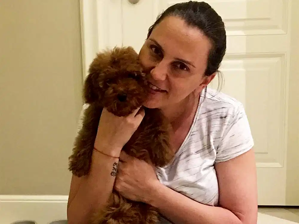Sibel Nazlı ve ailesinin Toy Poodle elit yavruları Leo