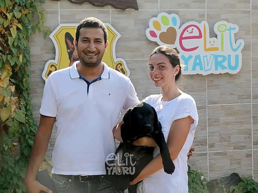 Tolga Bey Siyah Labrador yavrusuna kavuştu