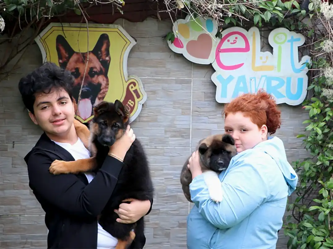 Ankara'dan Ulusoy ailesi Ameican Akita ve ALman Çoban yavrularına kavuştular