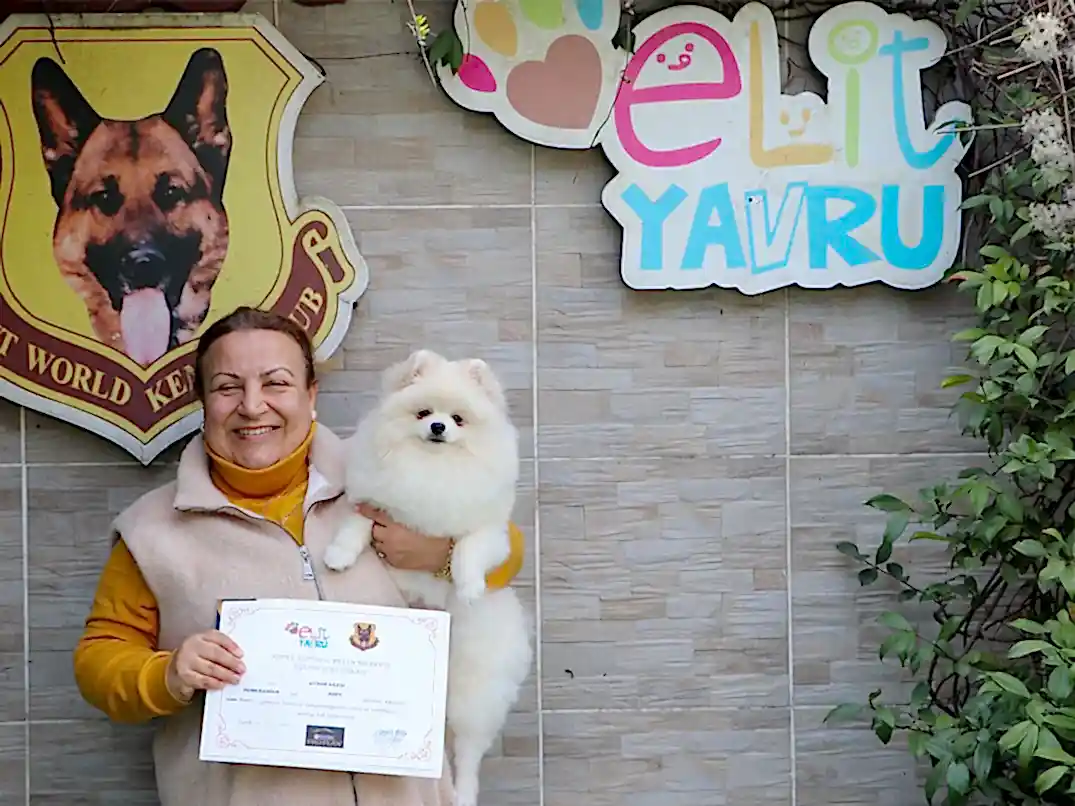 Uygun ailesinin minik üyesi Ares Temel itaat eğitimini başarılı bir şekilde tamamladı