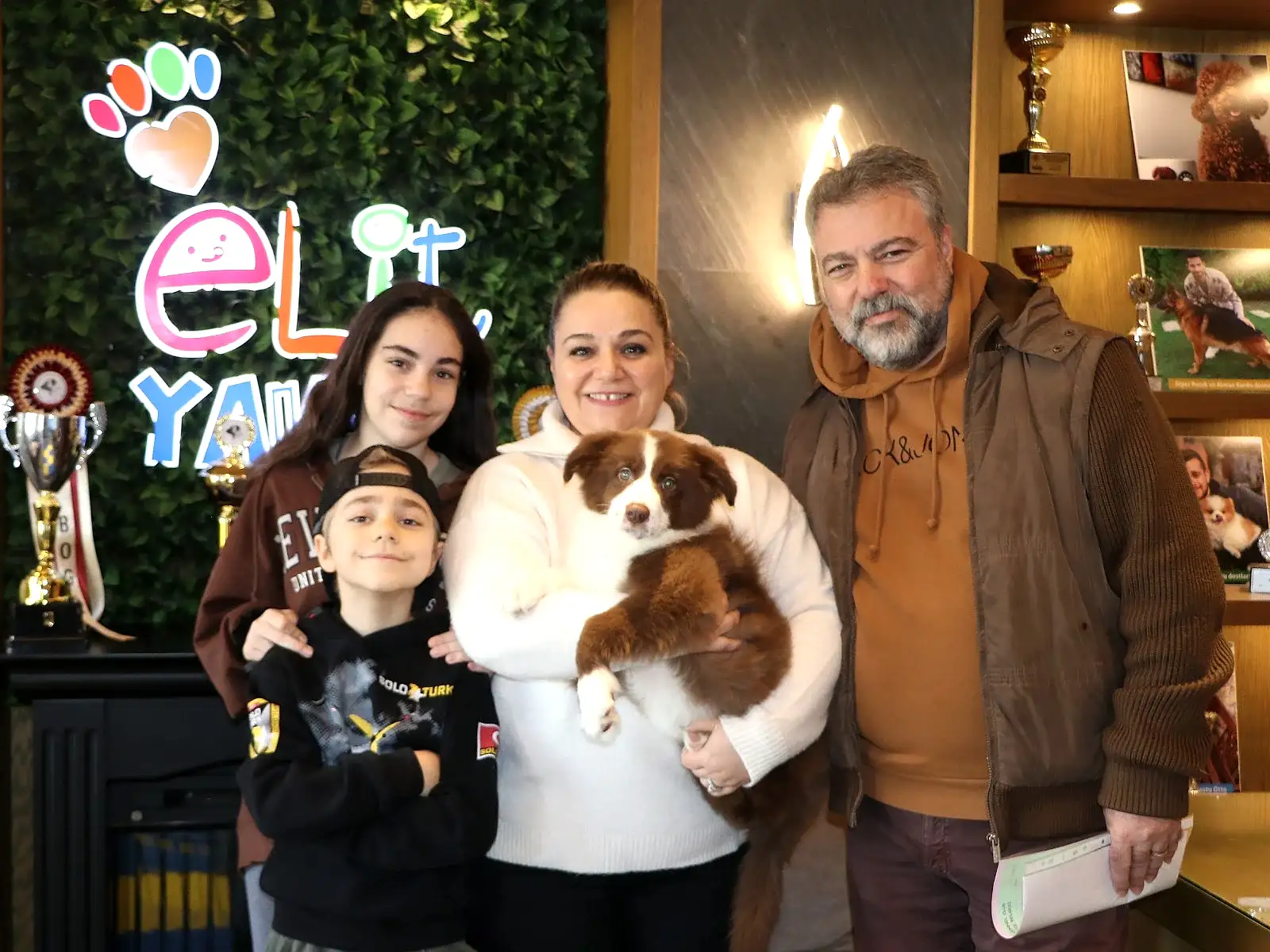 Uysal Ailesi Kahve Beyaz Border Collie yavrularına kavuştular