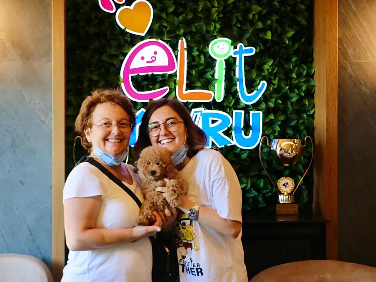 Yağmur Hanım ve ailesi Apricot Poodle yavrularına kavuştular