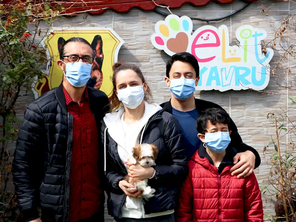 Yeşim Hanım ve ailesi Morkie Yavrularına kavuştular