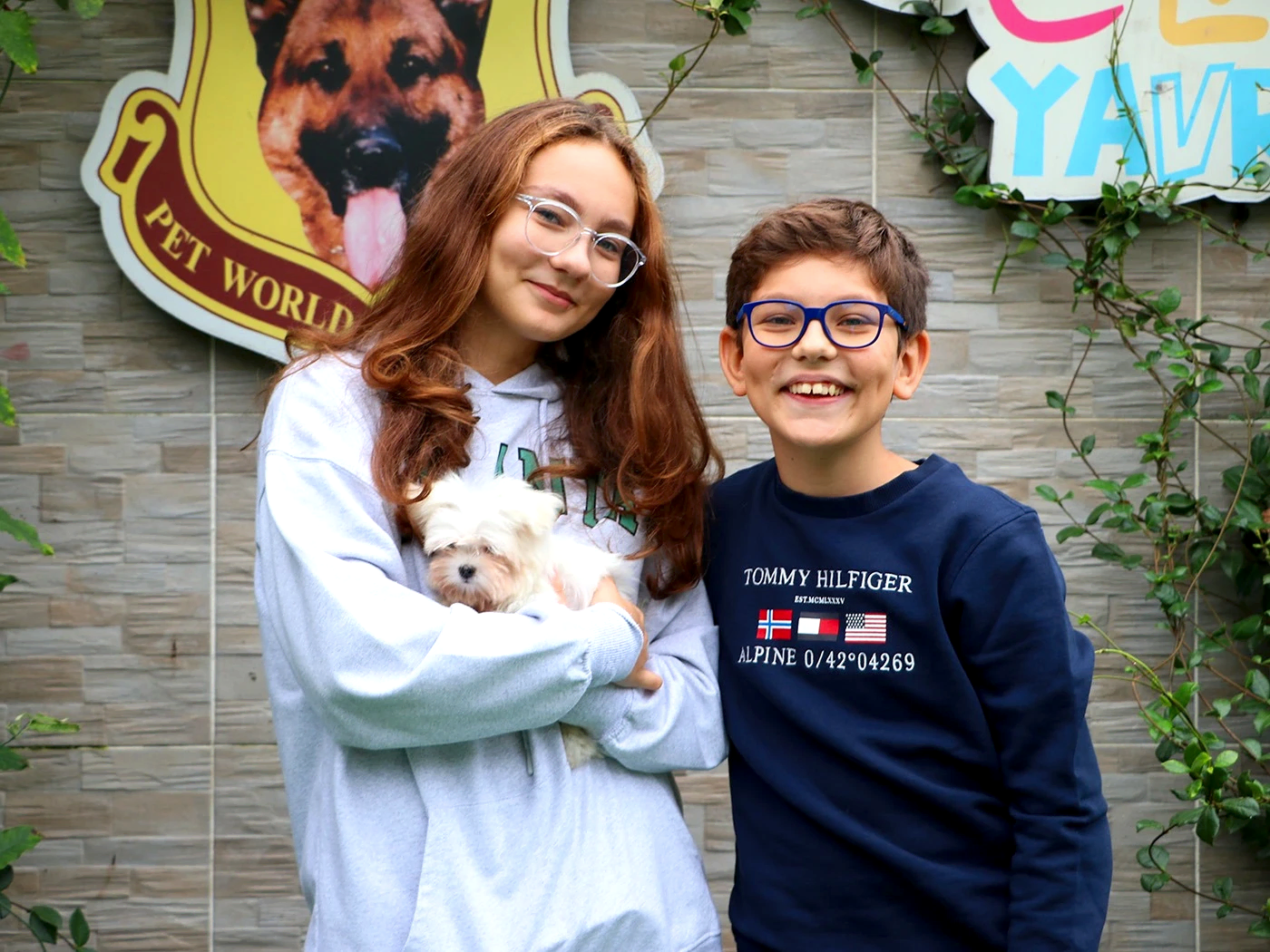 Yörük ailesi Microteacup Morkie yavrularına kavuştular