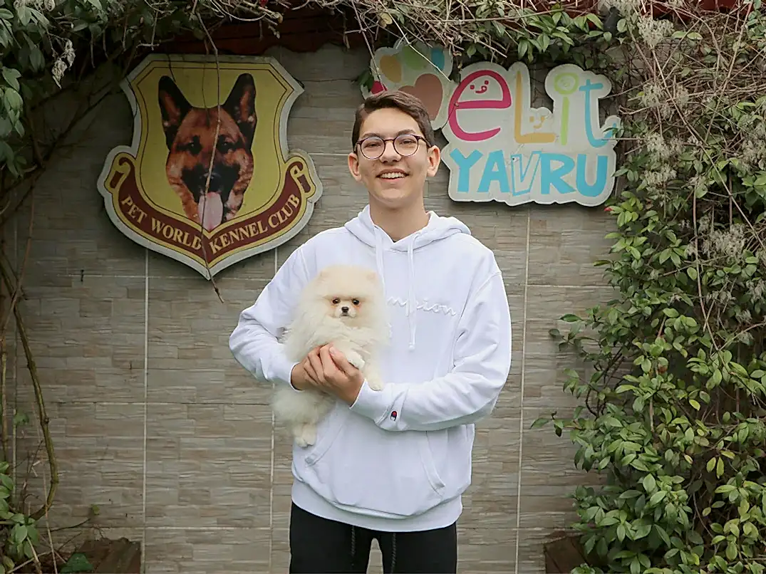 Yörük ailesi Pomeranian yavrularına kavuştular