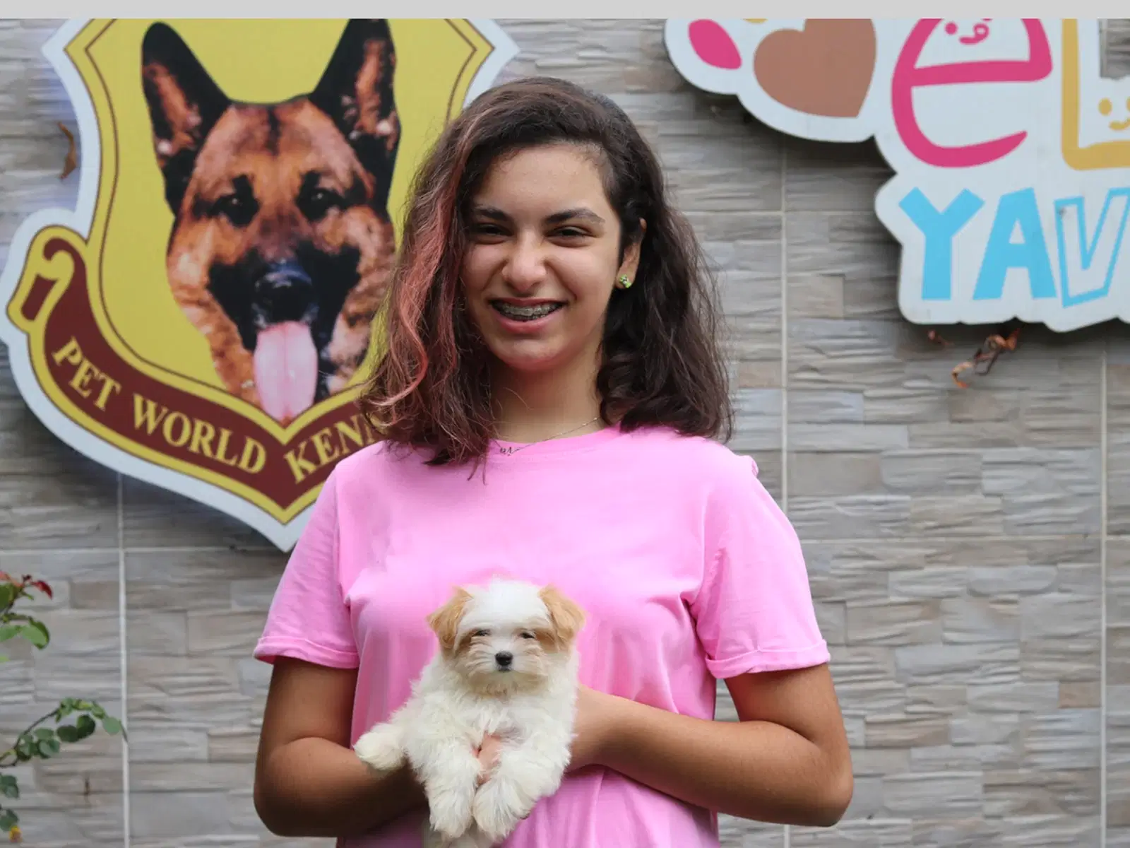 Zeynep Minik Morkie Dostu Mia'ya kavuştu