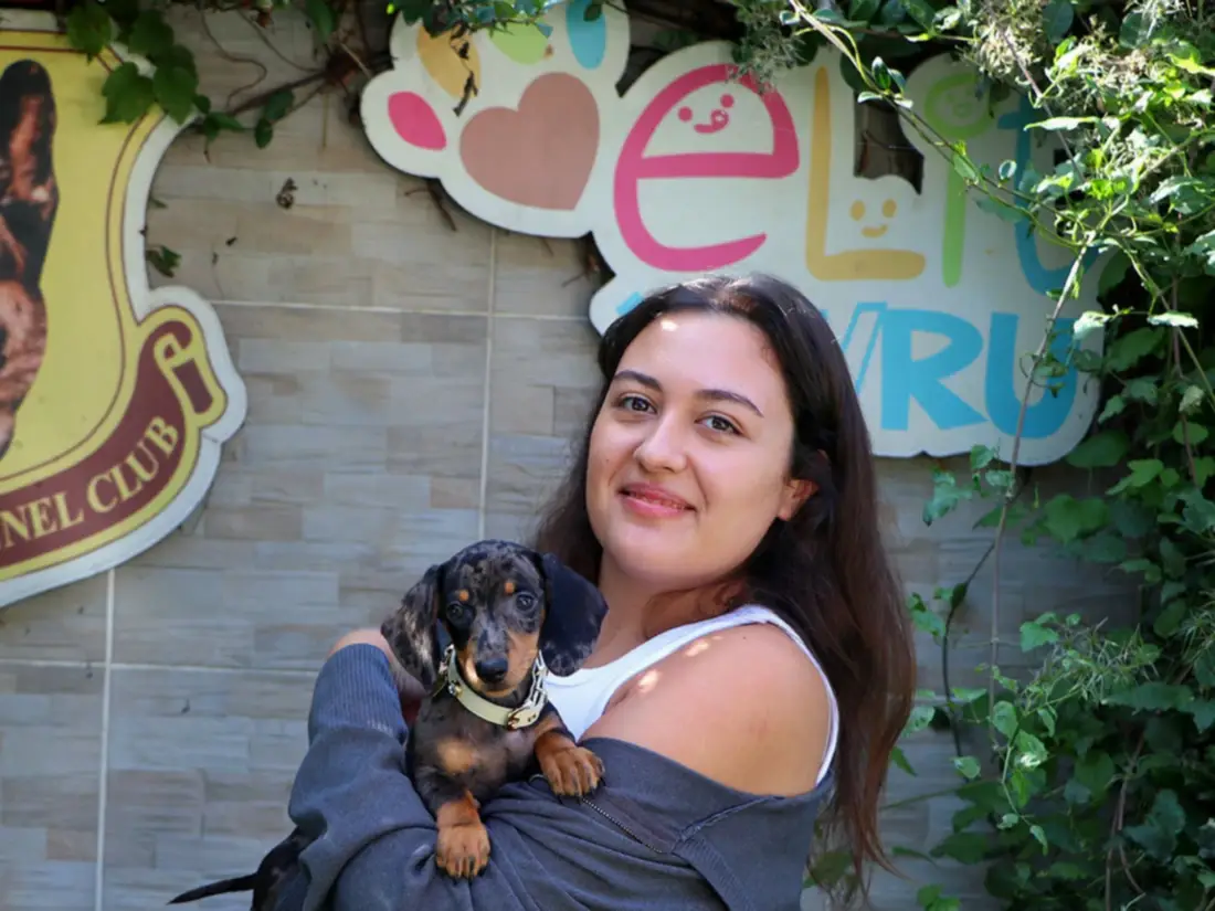 Zeynep Hanım ve ailesi Dachshund yavrularına kavuştular
