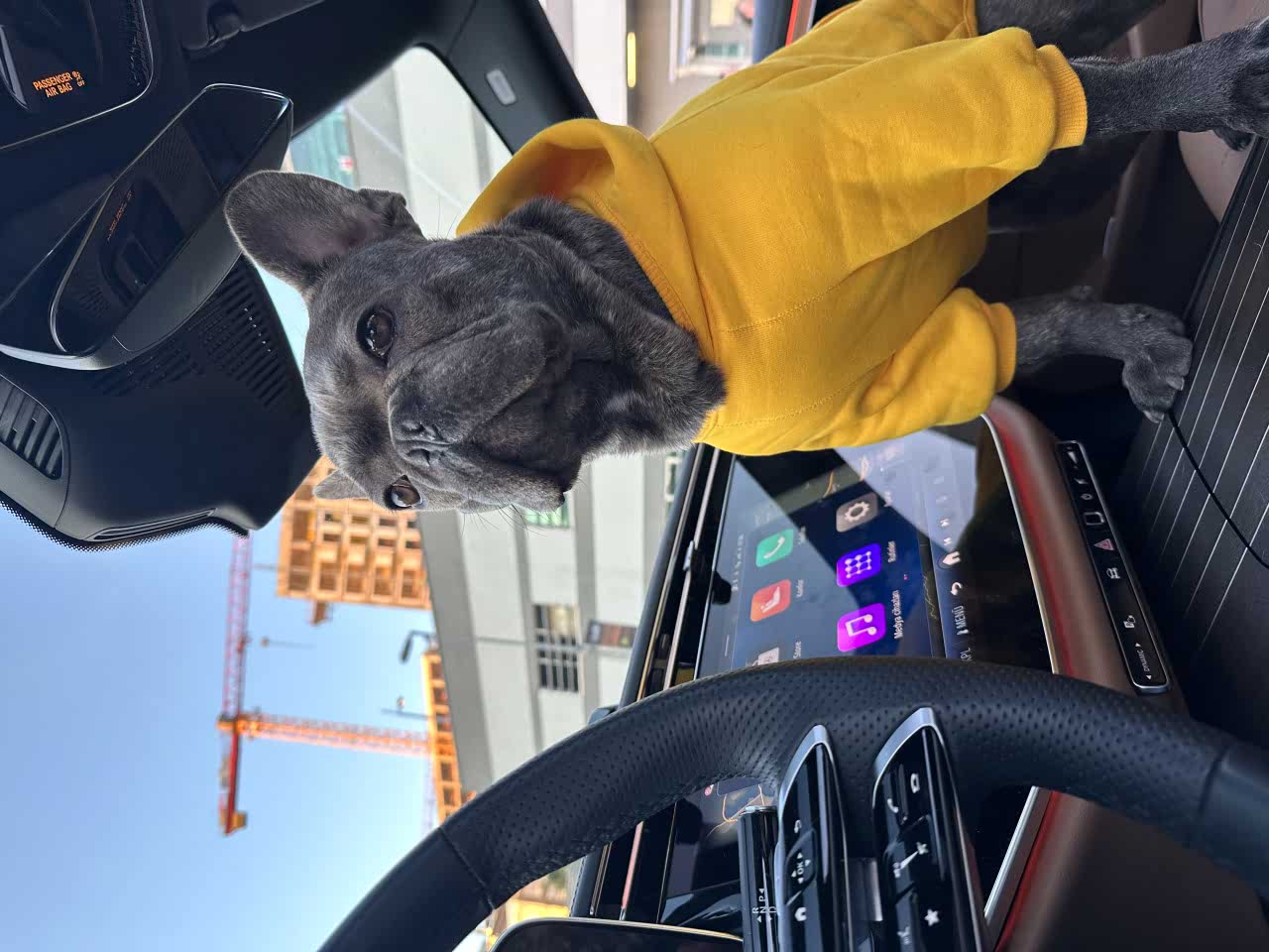 15 aylık Oğlumuza Eş Arıyoruz