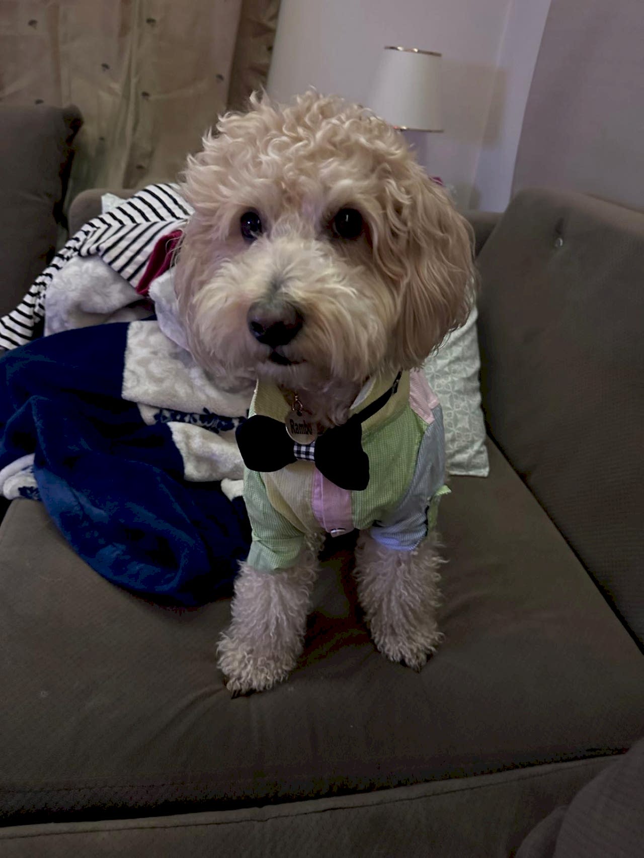 Oğlumuza eş arıyoruz