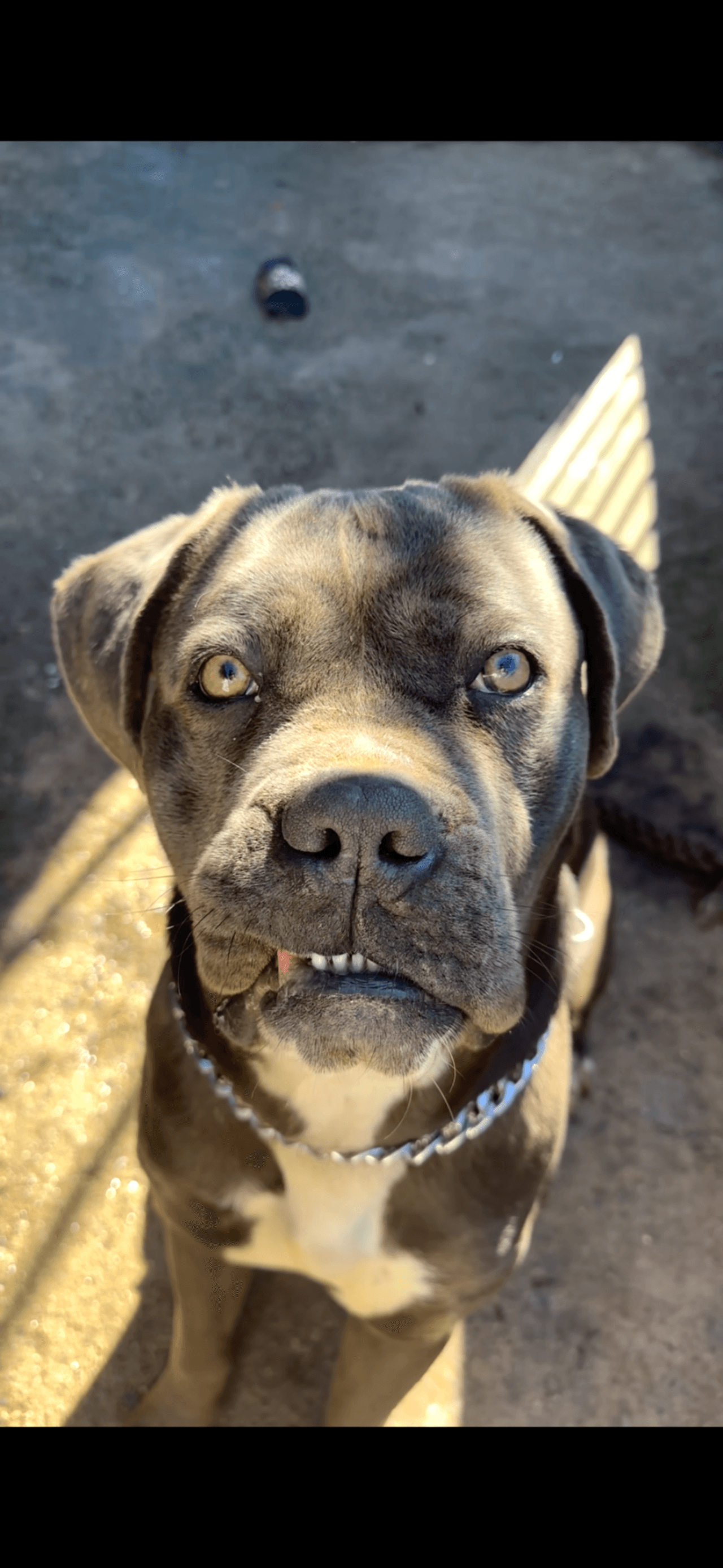 Oğluma eş arıyorum