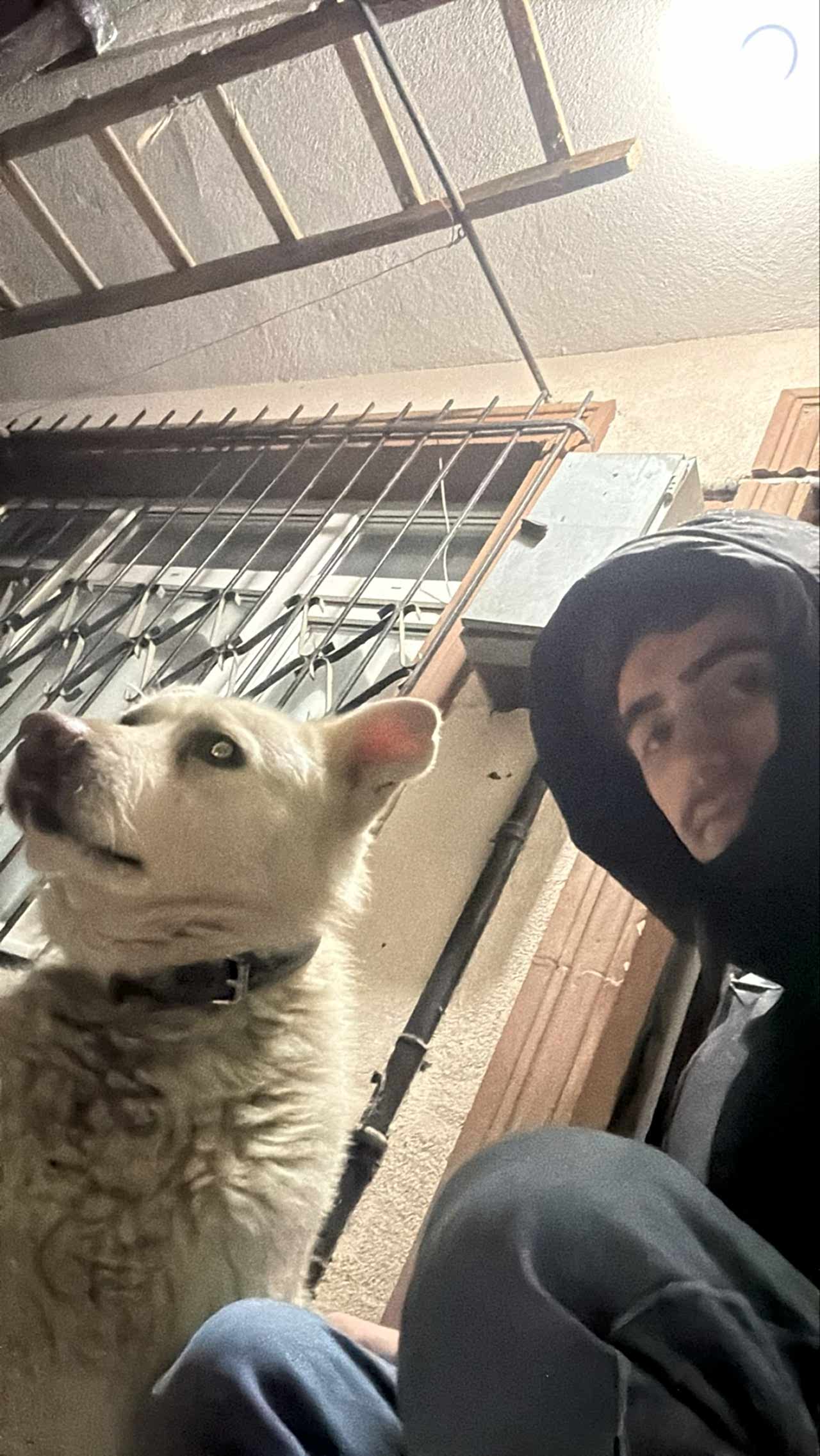 Oğlumuza eş arıyoruz